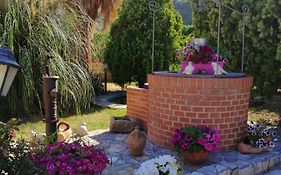 Casa Vacanze Ileana